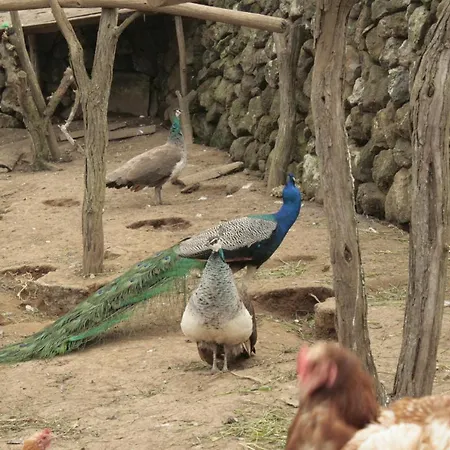 Quinta Rico - House Ii