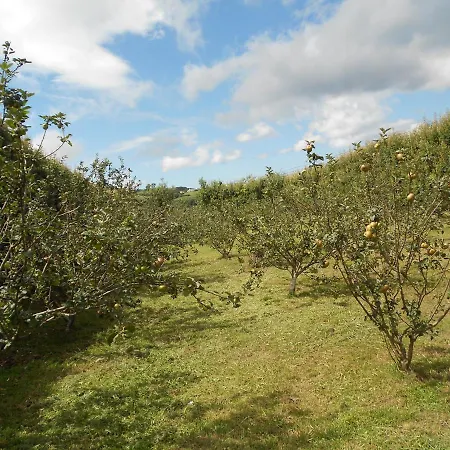 Quinta Rico - House Ii *