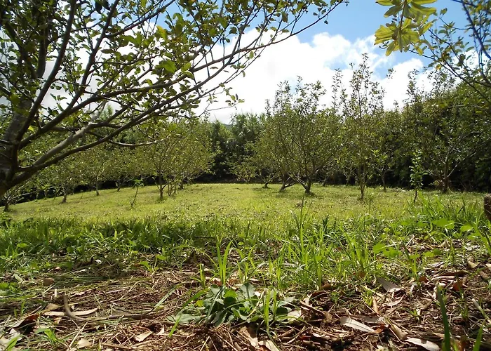 Quinta Rico - House Ii Ferienhaus