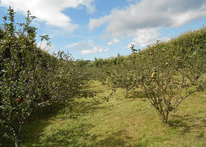 Quinta Rico - House Ii *