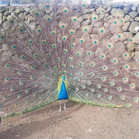 Casa de Férias Quinta Rico - House Ii