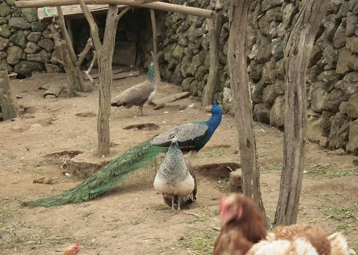 Quinta Rico - House Ii