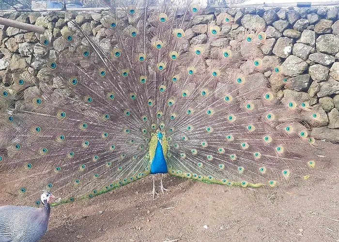 Ferienhaus Quinta Rico - House Ii